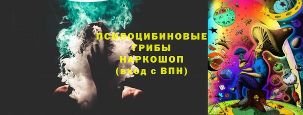 дмт Алексин